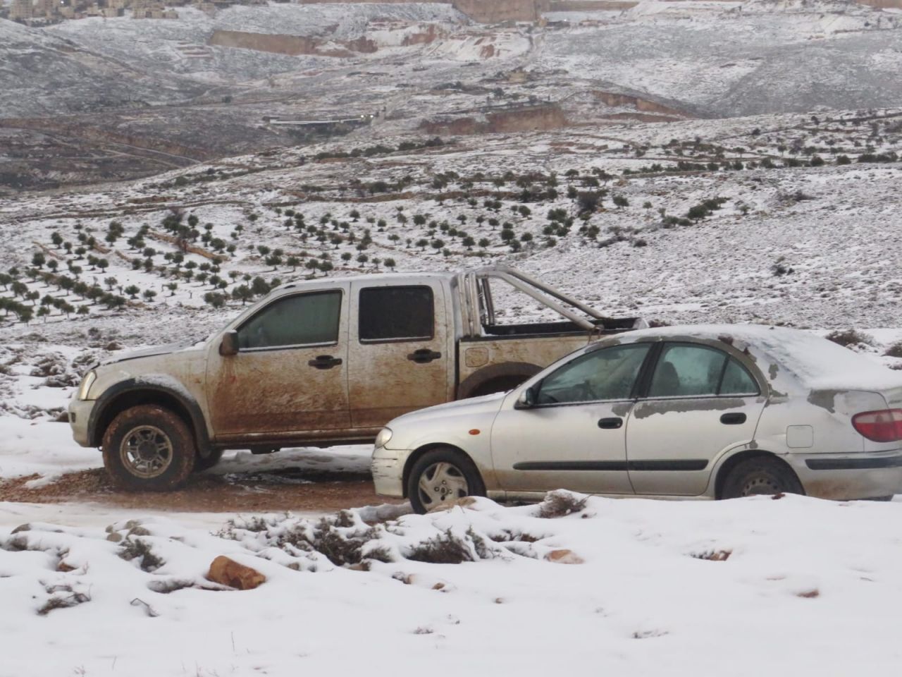 רמת מגרון (צילום: אלישע ירד)